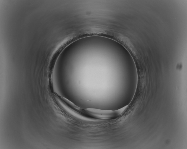 X0000093150395200709261450