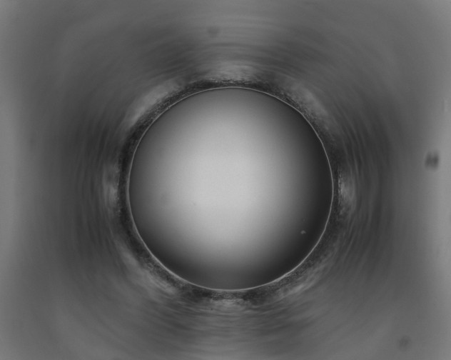 X0000093150396200709261450