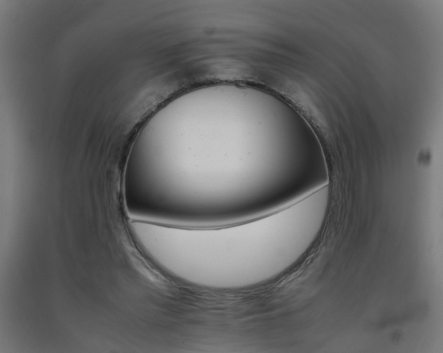 X0000093150397200709261450