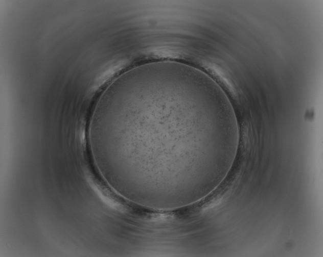X0000093150398200709261450