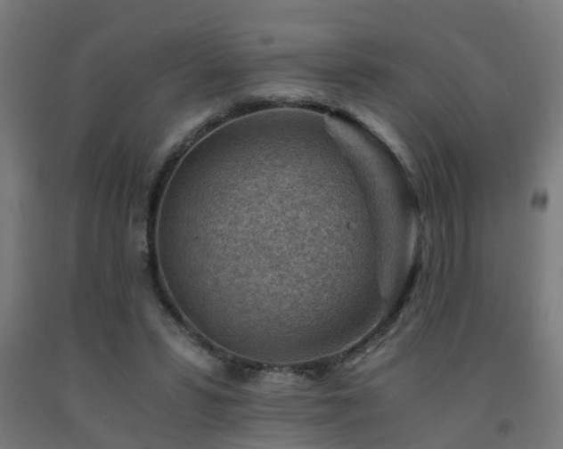 X0000093150399200709261450