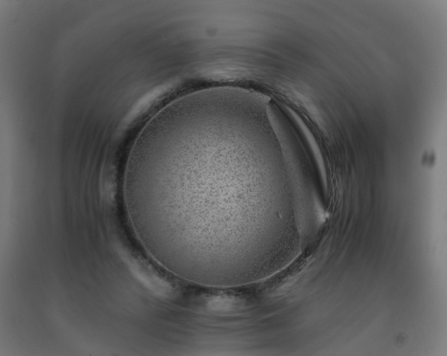 X0000093150400200709261450