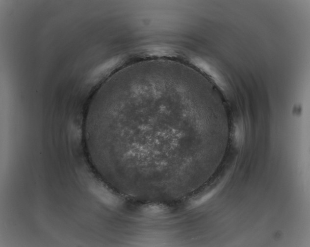 X0000093150402200709261450