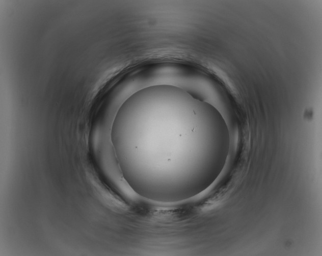 X0000093150403200709261450
