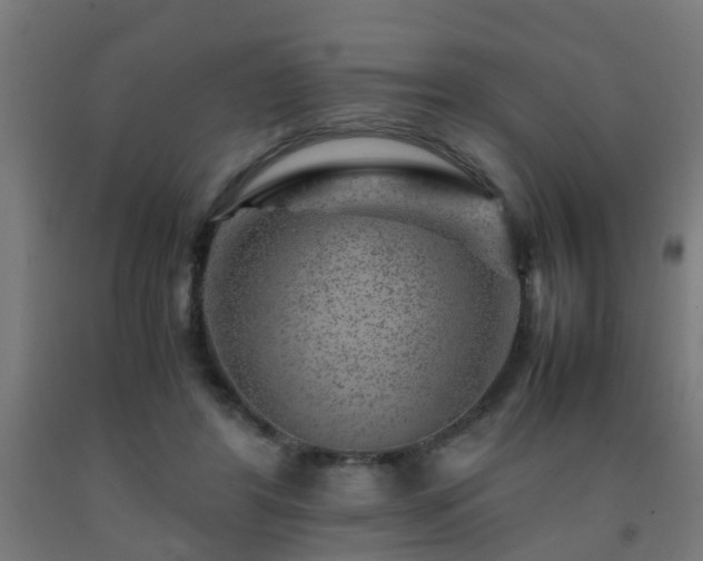 X0000093150404200709261450