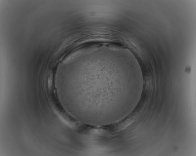 X0000093150408200709261450