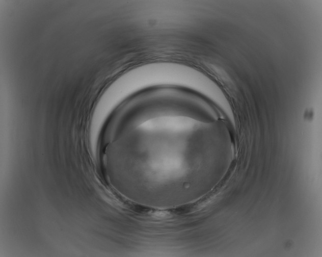X0000093150409200709261450
