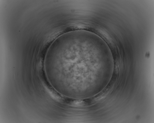X0000093150410200709261450