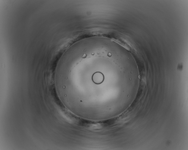 X0000093150411200709261450