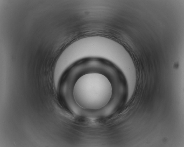 X0000093150412200709261450