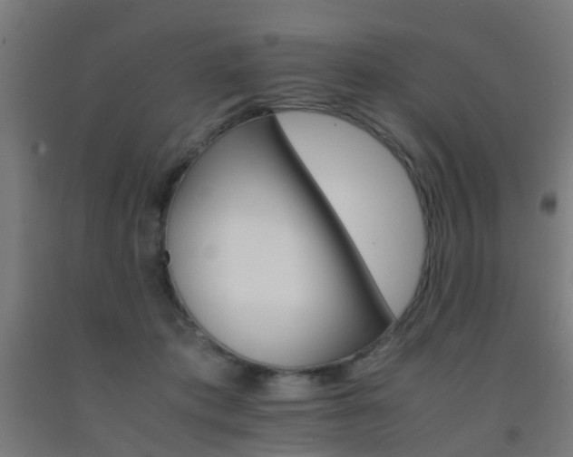 X0000093150413200709261450