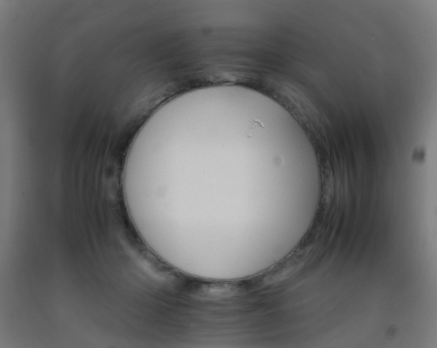 X0000093150414200709261450
