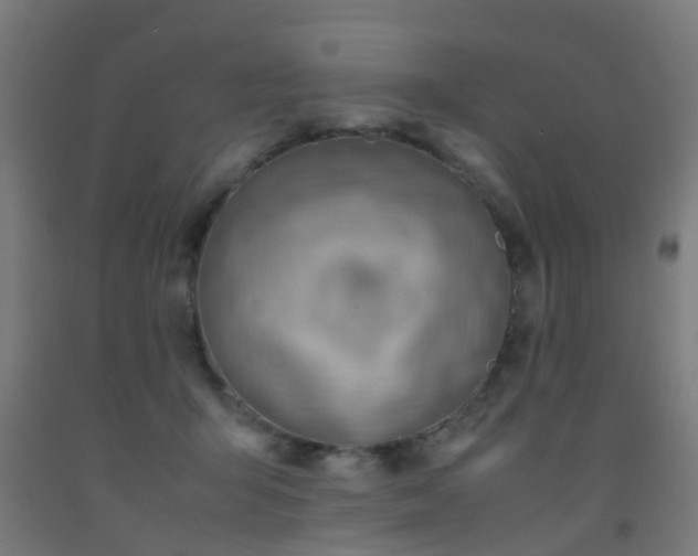 X0000093150415200709261450