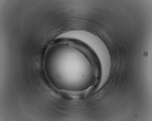 X0000093150416200709261449