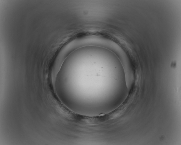 X0000093150417200709261449