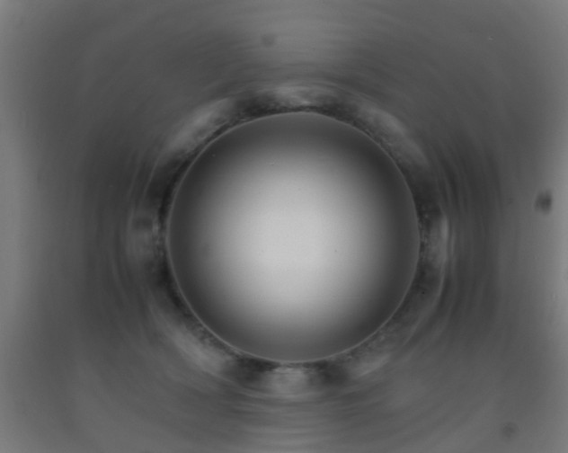 X0000093150418200709261449