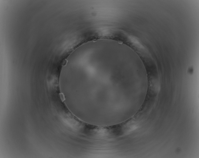 X0000093150419200709261449