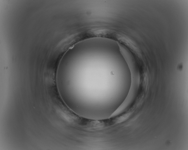 X0000093150421200709261449
