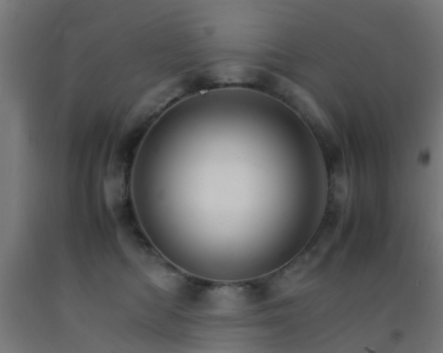 X0000093150422200709261449