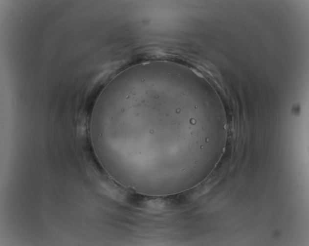 X0000093150423200709261449