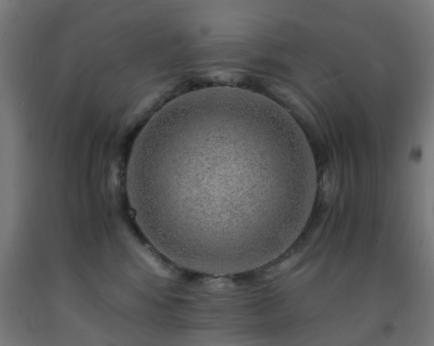 X0000093150424200709261449