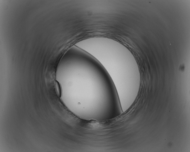 X0000093150425200709261449