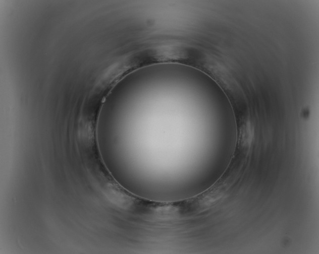 X0000093150426200709261449