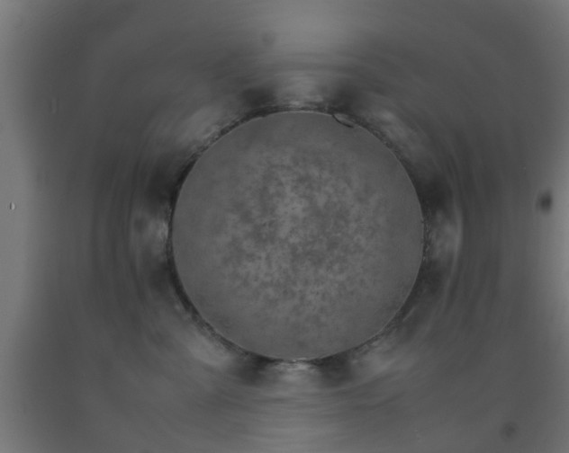 X0000093150427200709261449