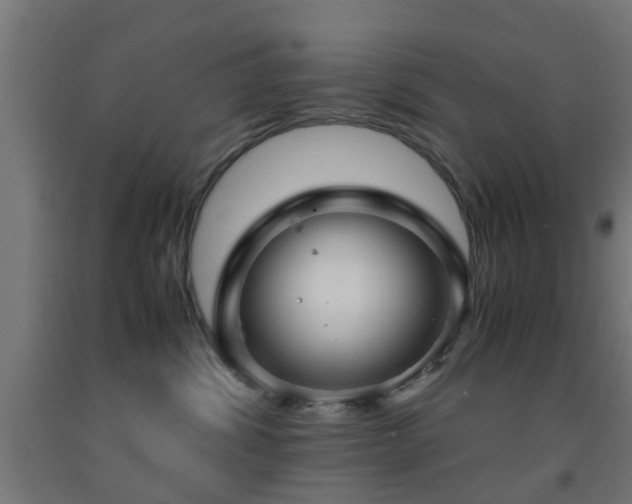 X0000093150428200709261449