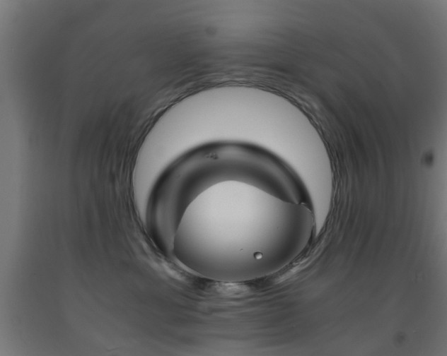 X0000093150429200709261449