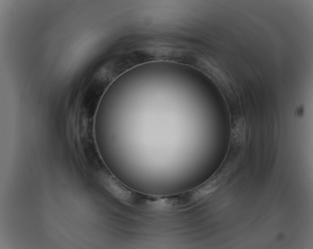 X0000093150430200709261449