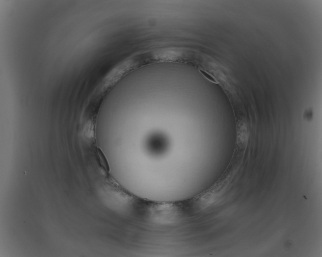 X0000093150431200709261449