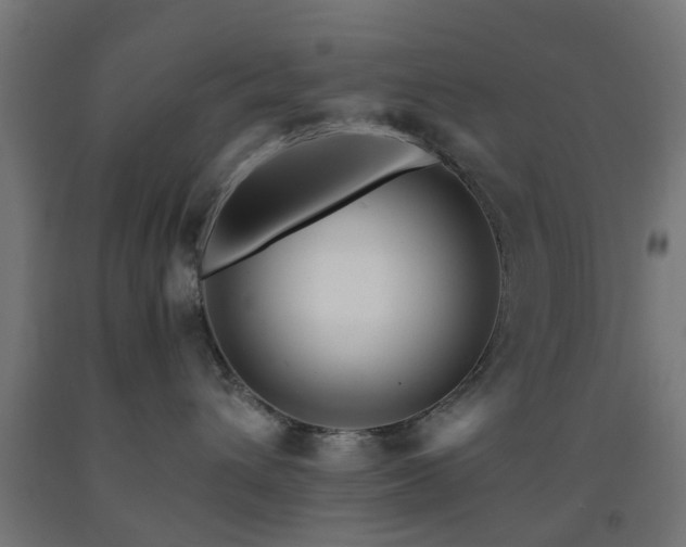 X0000093150432200709261449