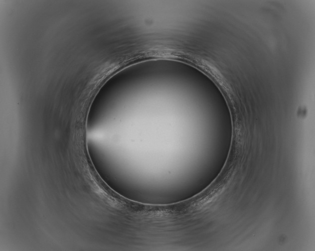 X0000093150433200709261449