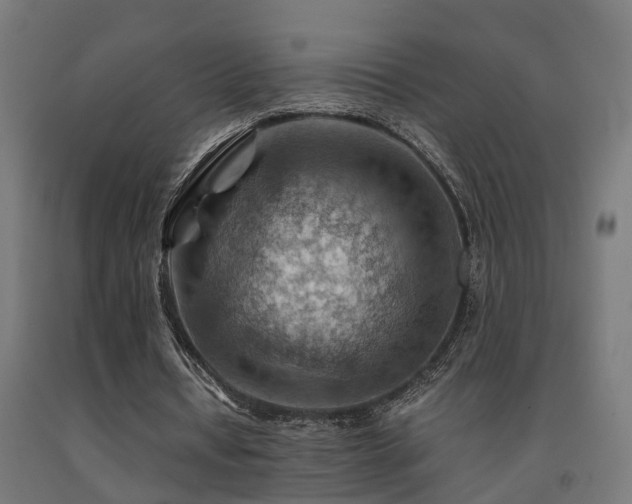 X0000093150434200709261449