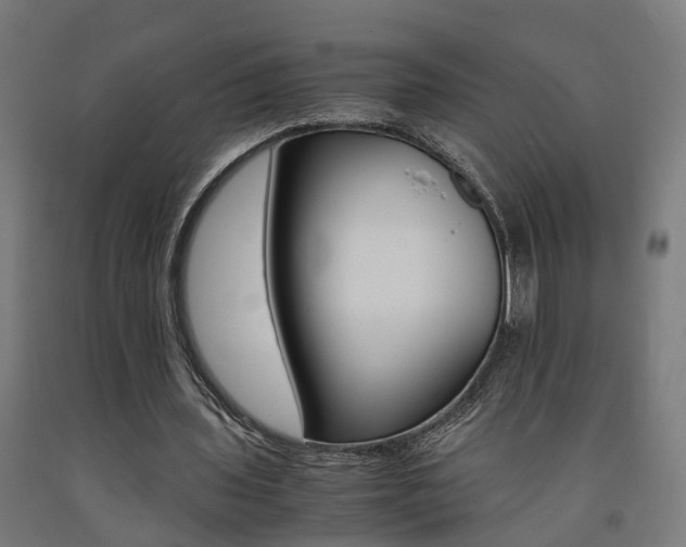 X0000093150435200709261449
