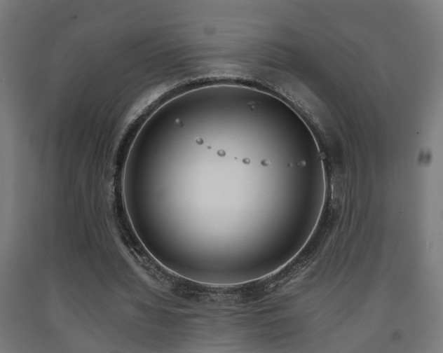 X0000093150436200709261449