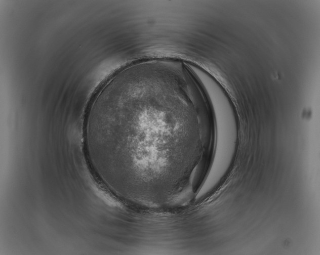 X0000093150438200709261449
