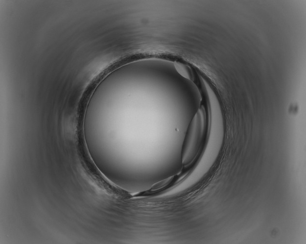 X0000093150440200709261449