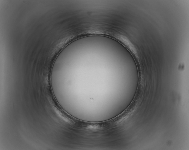 X0000093150441200709261449
