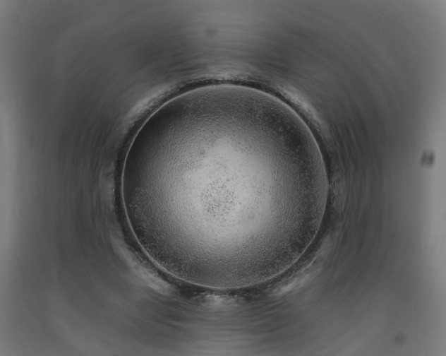 X0000093150442200709261449