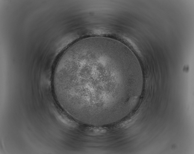 X0000093150443200709261449