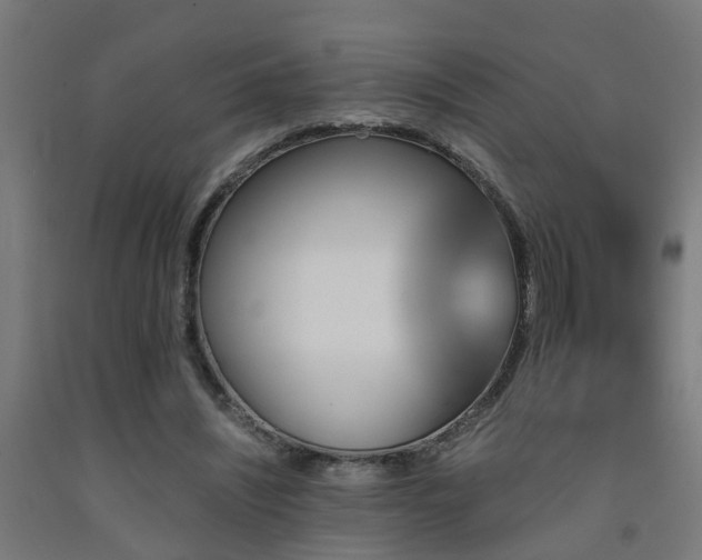 X0000093150444200709261449