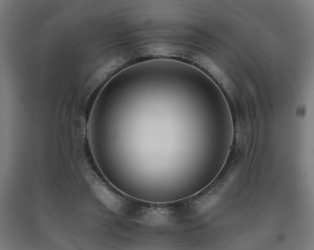 X0000093150445200709261449