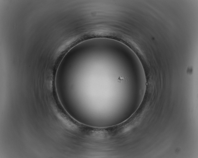 X0000093150446200709261449