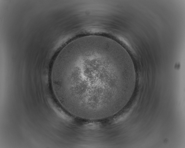 X0000093150447200709261449