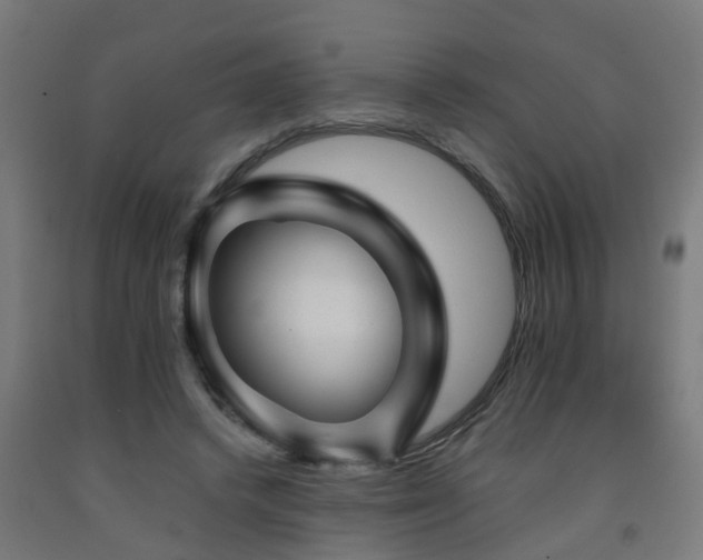 X0000093150448200709261449