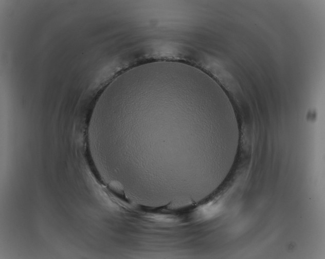 X0000093150449200709261449