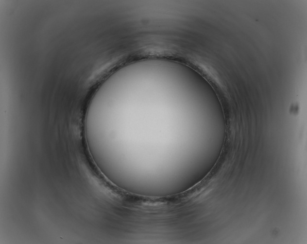 X0000093150450200709261449