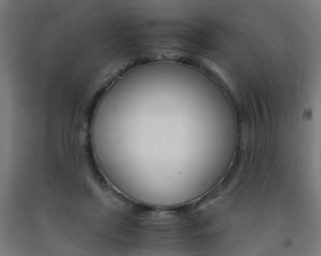 X0000093150451200709261449